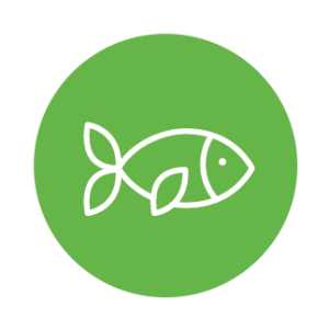 Pesca