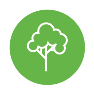 Forestales