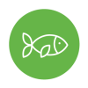 Pesca