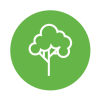 Forestales